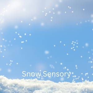 Snow Sensory Program